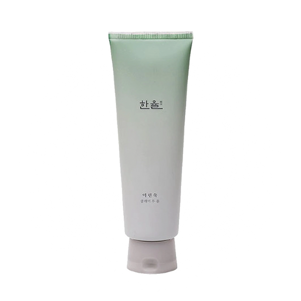 Hanyul Pure Artemisia Clay Foam Cleanser 170ml