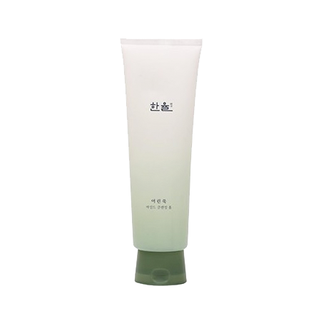 Hanyul Pure Artemisia Mild Cleansing Foam 170ml
